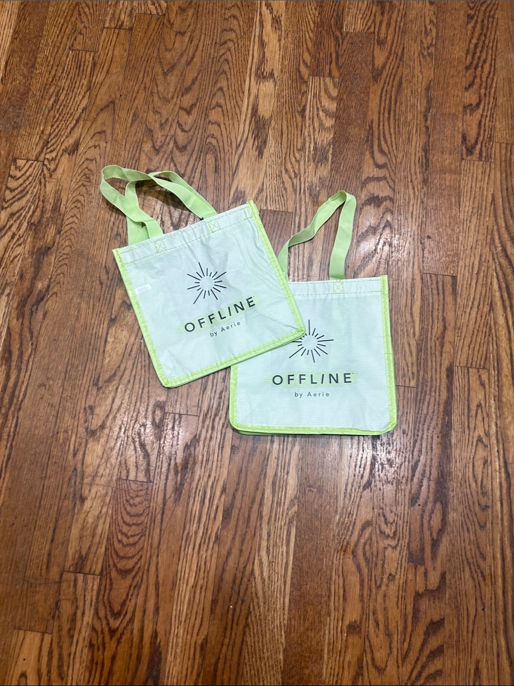 OFFLINE by Aerie Light Mint Reusable Tote Bags (Set of 2)